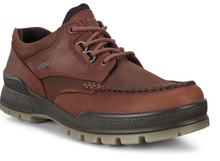 Load image into Gallery viewer, Ecco Menâ Track 25 Low Top Waterproof Hiking Shoe