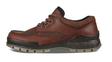 Load image into Gallery viewer, Ecco Menâ Track 25 Low Top Waterproof Hiking Shoe