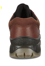 Load image into Gallery viewer, Ecco Menâ Track 25 Low Top Waterproof Hiking Shoe